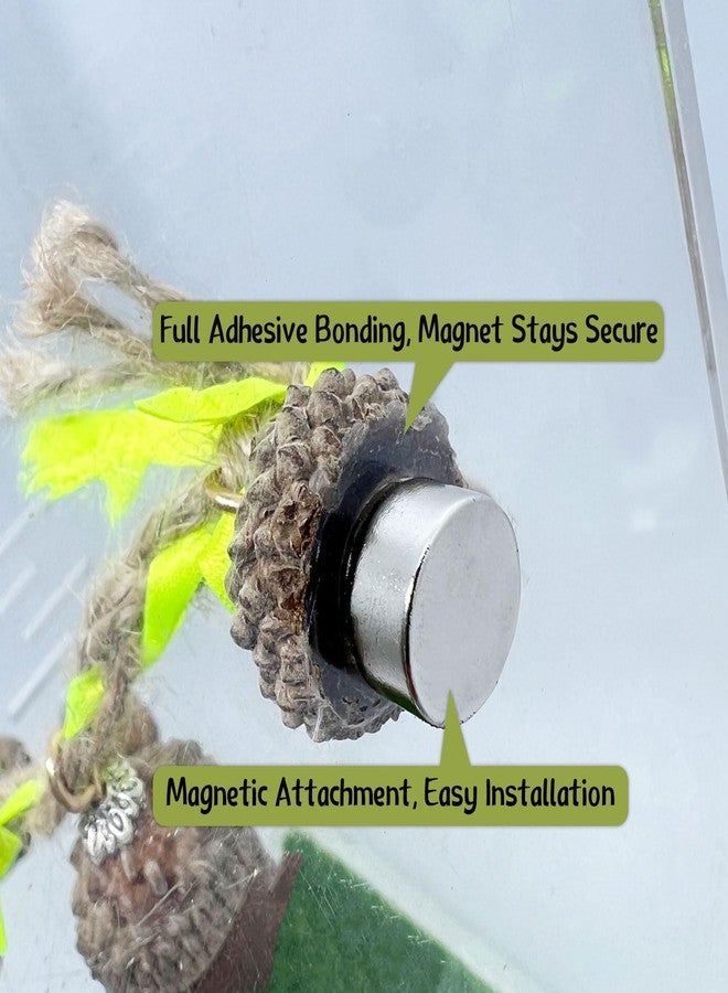 Daerky Jumping Spider Hide, Magnetic Climbing Rope Bridge, Handmade Real Acorn Hideaway Cave, Spider Platform, Decorative Accessory for Small Reptile Enclosures (Style 1) - Image 4